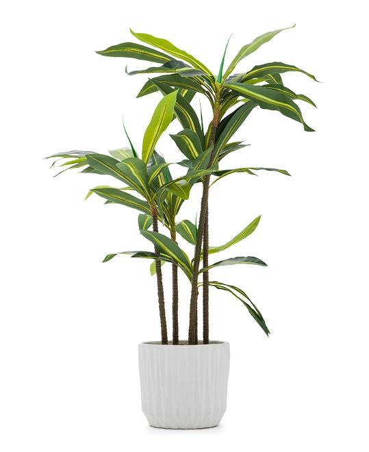 Palo de Brasil Artificial con Maceta Starhaus 112 cm